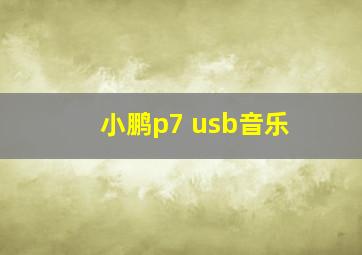 小鹏p7 usb音乐